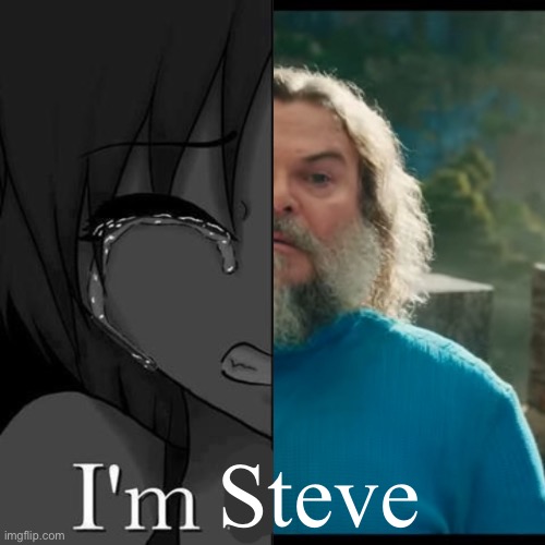 steve | Steve | image tagged in i'm fi | made w/ Imgflip meme maker