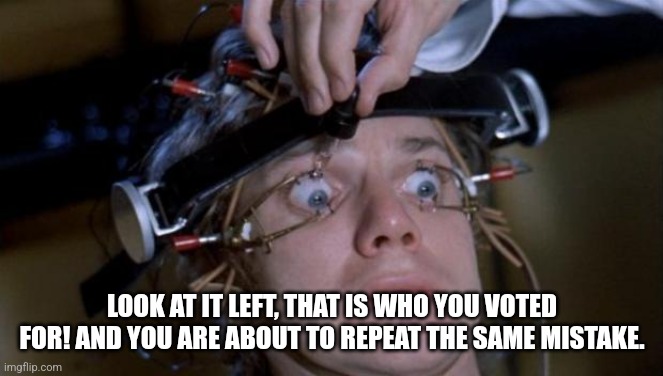 Clockwork Orange | LOOK AT IT LEFT, THAT IS WHO YOU VOTED FOR! AND YOU ARE ABOUT TO REPEAT THE SAME MISTAKE. | image tagged in clockwork orange | made w/ Imgflip meme maker