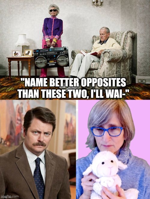 Ron Swanson VS Vegan Teacher. | "NAME BETTER OPPOSITES THAN THESE TWO, I'LL WAI-" | image tagged in opposites | made w/ Imgflip meme maker