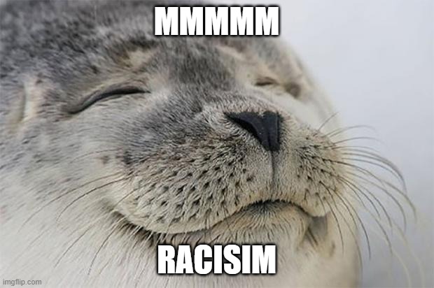 Satisfied Seal Meme | MMMMM; RACISIM | image tagged in memes,satisfied seal | made w/ Imgflip meme maker