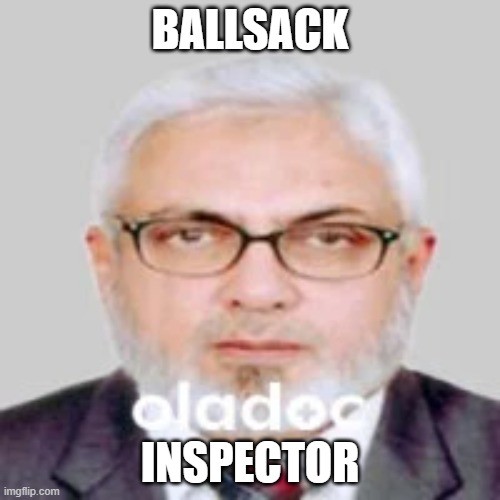 He's come back to town | BALLSACK; INSPECTOR | image tagged in balls,drake | made w/ Imgflip meme maker