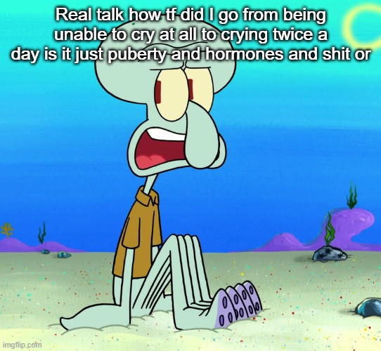 @nat sorry but u have medicine knowledge | Real talk how tf did I go from being unable to cry at all to crying twice a day is it just puberty and hormones and shit or | image tagged in squidward sitting | made w/ Imgflip meme maker