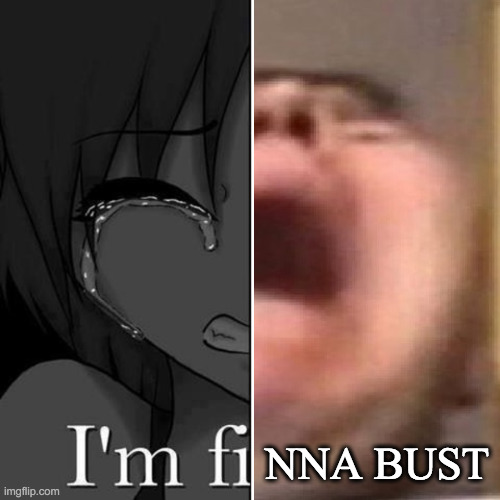 I'm fi | NNA BUST | image tagged in i'm fi | made w/ Imgflip meme maker