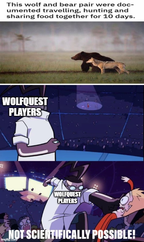 haha | WOLFQUEST PLAYERS; WOLFQUEST PLAYERS | image tagged in not scientifically possible,gaming,wolfquest,memes | made w/ Imgflip meme maker