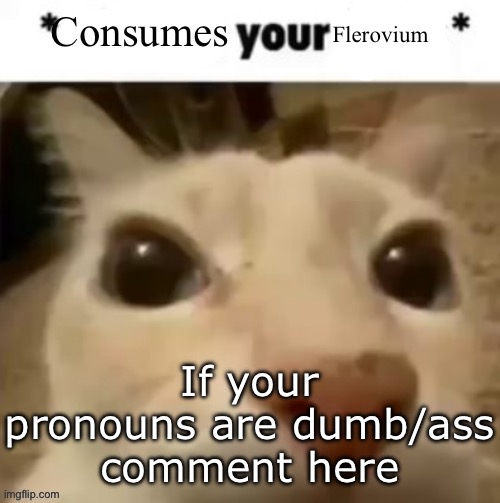 Yakko consumes your flerovium | If your pronouns are dumb/ass comment here | image tagged in yakko consumes your flerovium | made w/ Imgflip meme maker