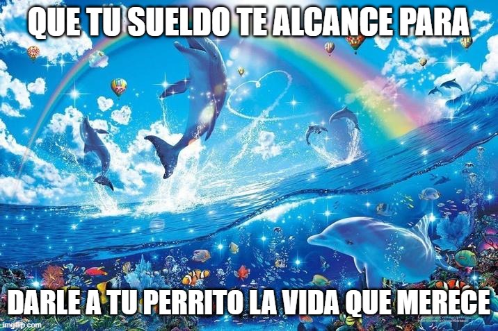 Happy dolphin rainbow | QUE TU SUELDO TE ALCANCE PARA; DARLE A TU PERRITO LA VIDA QUE MERECE | image tagged in happy dolphin rainbow | made w/ Imgflip meme maker