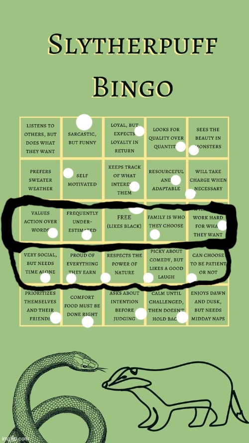 THIS IS ALL TRUE | image tagged in kages slytherpuff bingo | made w/ Imgflip meme maker