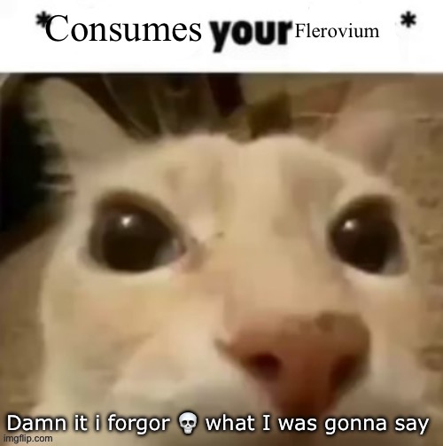 Yakko consumes your flerovium | Damn it i forgor 💀 what I was gonna say | image tagged in yakko consumes your flerovium | made w/ Imgflip meme maker