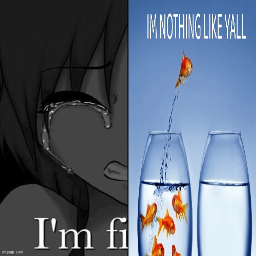 What | image tagged in i'm fi | made w/ Imgflip meme maker
