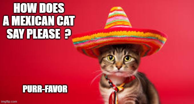 memes by Brad - How does a cat say please in Spanish? | HOW DOES A MEXICAN CAT SAY PLEASE  ? PURR-FAVOR | image tagged in funny,cats,kittens,spanish,funny cat memes,humor | made w/ Imgflip meme maker