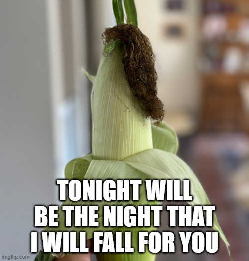 Emo Corn is Moody | TONIGHT WILL BE THE NIGHT THAT I WILL FALL FOR YOU | image tagged in emo corn | made w/ Imgflip meme maker