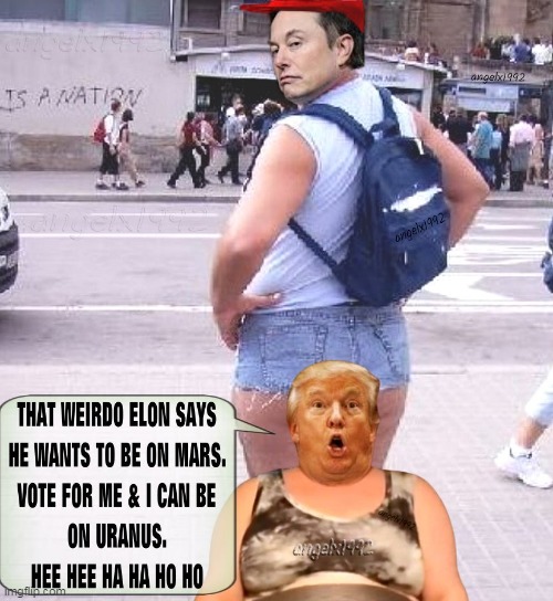 maga weirdos | image tagged in elon musk,mars,uranus,donald trump is an idiot,clown car republicans,scumbag republicans | made w/ Imgflip meme maker