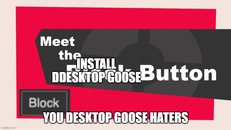 meet the install desktop goose button | INSTALL DDESKTOP GOOSE; YOU DESKTOP GOOSE HATERS | image tagged in meet the block button | made w/ Imgflip meme maker