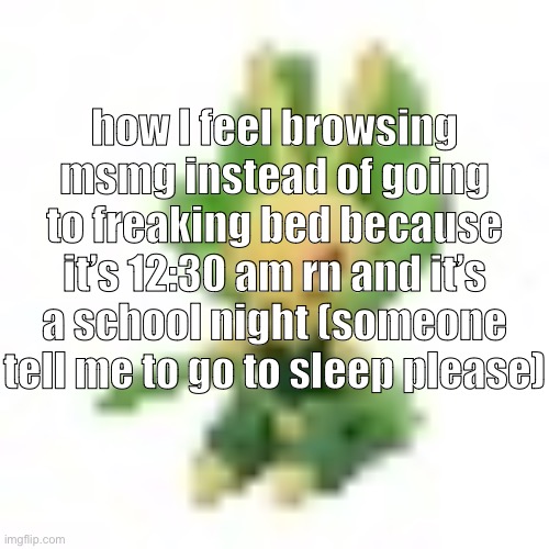144p Leavanny | how I feel browsing msmg instead of going to freaking bed because it’s 12:30 am rn and it’s a school night (someone tell me to go to sleep please) | image tagged in 144p leavanny | made w/ Imgflip meme maker