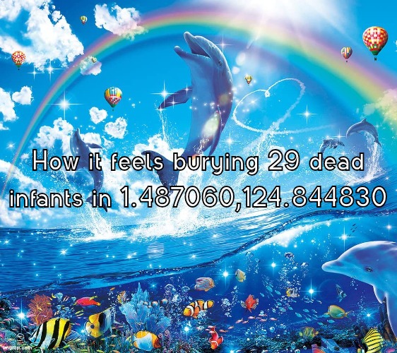 The fog is coming | How it feels burying 29 dead infants in 1.487060,124.844830 | image tagged in misinformation dolphins | made w/ Imgflip meme maker