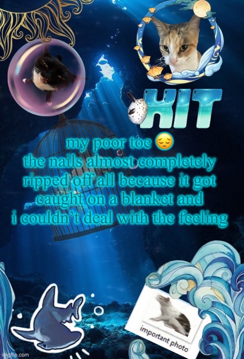 silly announcement template by asriel | my poor toe 😔
the nails almost completely ripped off all because it got caught on a blanket and i couldn’t deal with the feeling | image tagged in silly announcement template by asriel | made w/ Imgflip meme maker