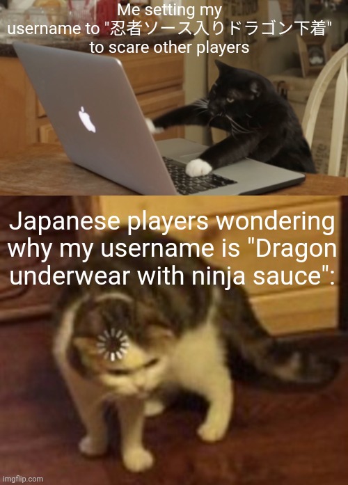 Imma do that, brb | Me setting my username to "忍者ソース入りドラゴン下着" to scare other players; Japanese players wondering why my username is "Dragon underwear with ninja sauce": | image tagged in furiously typing cat,loading cat,japanese,goofy memes,usernames,cats | made w/ Imgflip meme maker