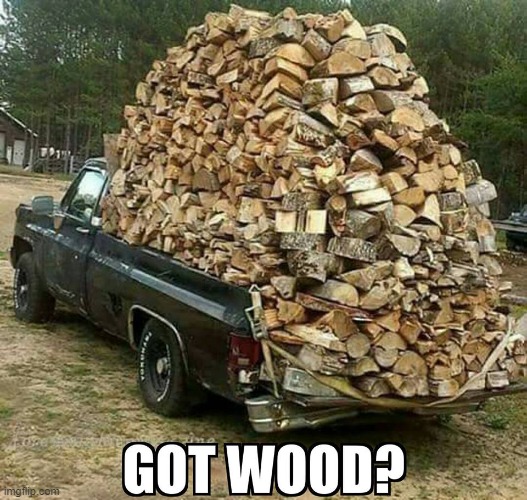 got wood | image tagged in got wood | made w/ Imgflip meme maker