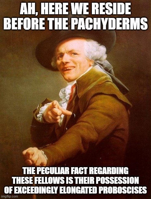 Indeed, that is awe-inspiring. Therefore, that is all deemed necessary of being uttered. | AH, HERE WE RESIDE BEFORE THE PACHYDERMS; THE PECULIAR FACT REGARDING THESE FELLOWS IS THEIR POSSESSION OF EXCEEDINGLY ELONGATED PROBOSCISES | image tagged in memes,joseph ducreux | made w/ Imgflip meme maker