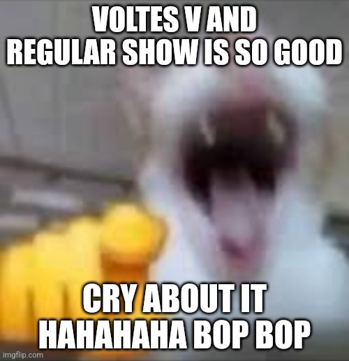 Laughting Cat | VOLTES V AND REGULAR SHOW IS SO GOOD; CRY ABOUT IT HAHAHAHA BOP BOP | image tagged in laughting cat | made w/ Imgflip meme maker