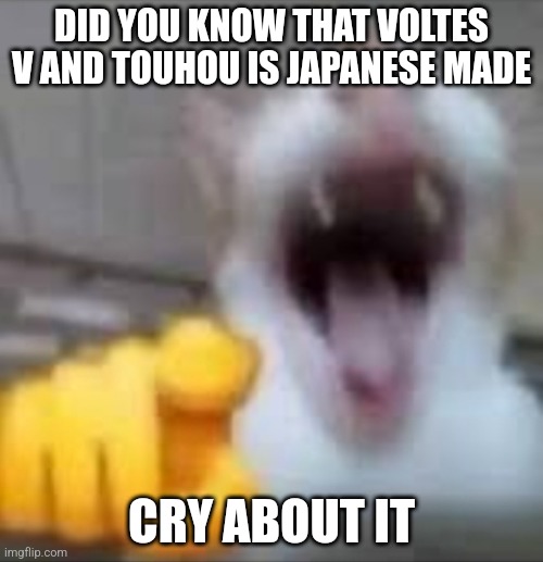 Laughting Cat | DID YOU KNOW THAT VOLTES V AND TOUHOU IS JAPANESE MADE; CRY ABOUT IT | image tagged in laughting cat | made w/ Imgflip meme maker