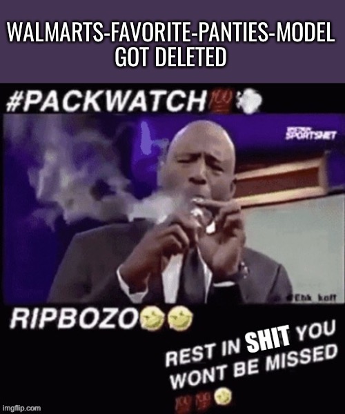 Rest in shit you wont be missed | WALMARTS-FAVORITE-PANTIES-MODEL GOT DELETED | image tagged in rest in shit you wont be missed | made w/ Imgflip meme maker