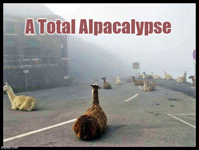 A Total Alpacalypse | A Total Alpacalypse | image tagged in alpaca,disaster,animal,too funny | made w/ Imgflip meme maker