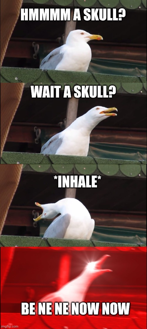 Inhaling Seagull | HMMMM A SKULL? WAIT A SKULL? *INHALE*; BE NE NE NOW NOW | image tagged in memes,inhaling seagull | made w/ Imgflip meme maker