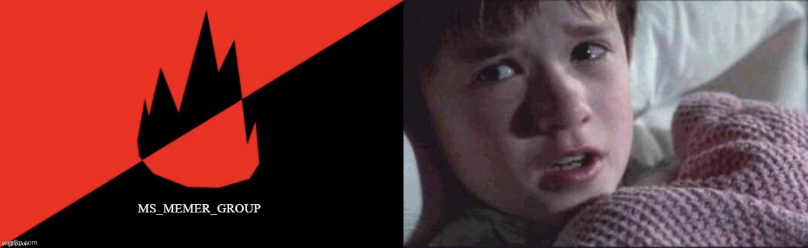 image tagged in ms memer group flag,memes,i see dead people | made w/ Imgflip meme maker