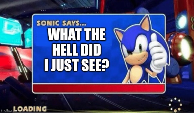 Sonic Says | WHAT THE HELL DID I JUST SEE? | image tagged in sonic says | made w/ Imgflip meme maker