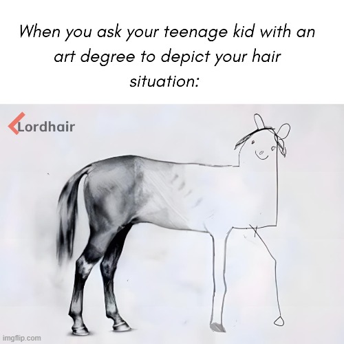 Hair Loss Memes | image tagged in memes,funny memes,funny animals,hair | made w/ Imgflip meme maker