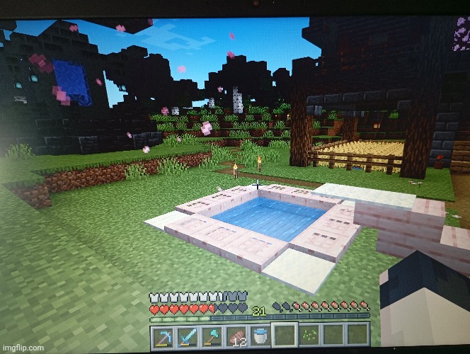 Hello everyone. I decided to spice up my world a bit, so I built this cherry pool | image tagged in memes,gaming,minecraft | made w/ Imgflip meme maker