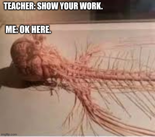 showing your work be like: | TEACHER: SHOW YOUR WORK. ME: OK HERE. | image tagged in high school | made w/ Imgflip meme maker