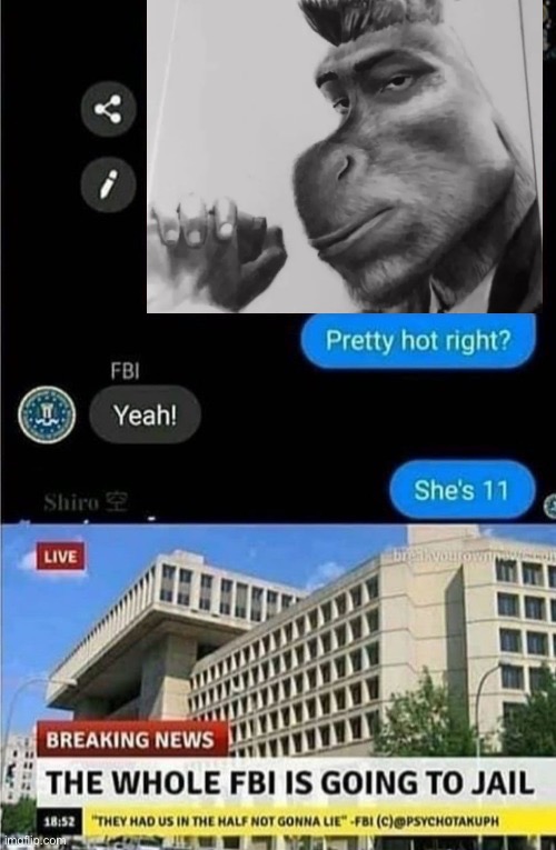 The whole FBI is going to jail | image tagged in the whole fbi is going to jail | made w/ Imgflip meme maker