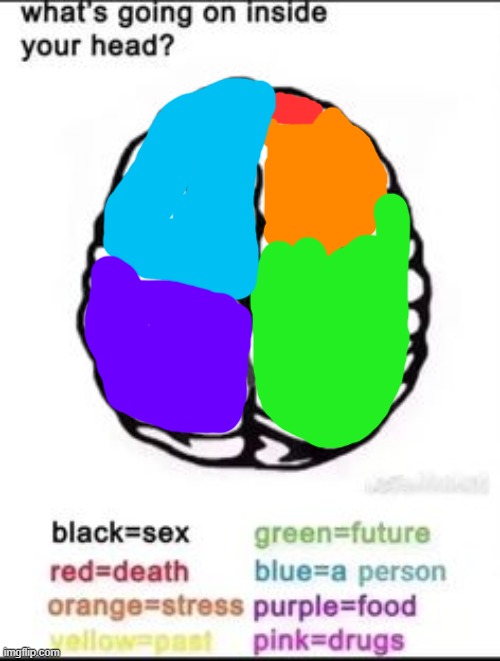 What's going on inside your head? | image tagged in what's going on inside your head | made w/ Imgflip meme maker