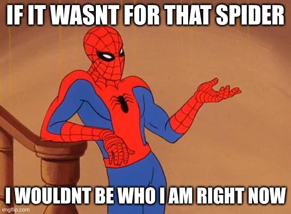 You know why I'm here Spiderman  | IF IT WASNT FOR THAT SPIDER I WOULDNT BE WHO I AM RIGHT NOW | image tagged in you know why i'm here spiderman | made w/ Imgflip meme maker