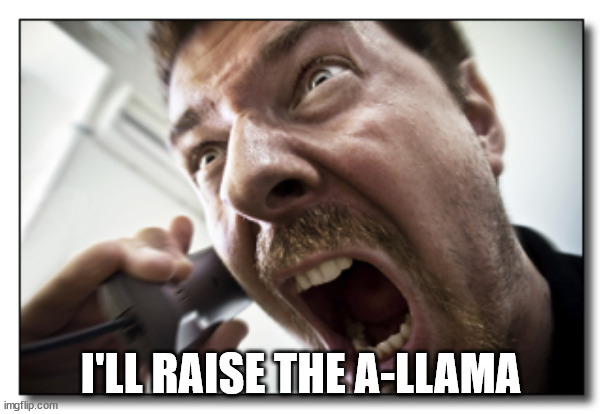 Shouter Meme | I'LL RAISE THE A-LLAMA | image tagged in memes,shouter | made w/ Imgflip meme maker