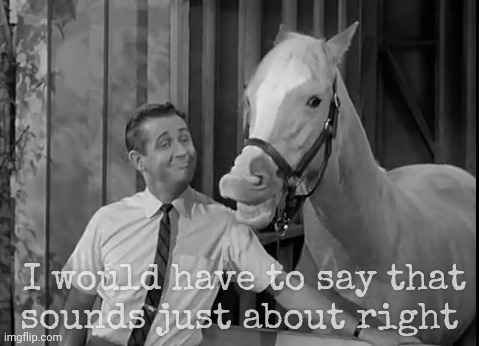 Mr Ed Speaks | I would have to say that
sounds just about right | image tagged in mr ed speaks | made w/ Imgflip meme maker