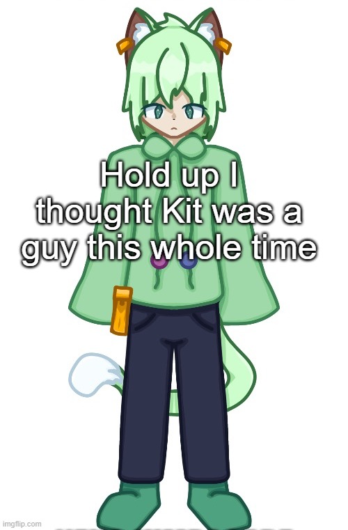 Neko drawn by Cosmo.PNG | Hold up I thought Kit was a guy this whole time | image tagged in neko drawn by cosmo png | made w/ Imgflip meme maker