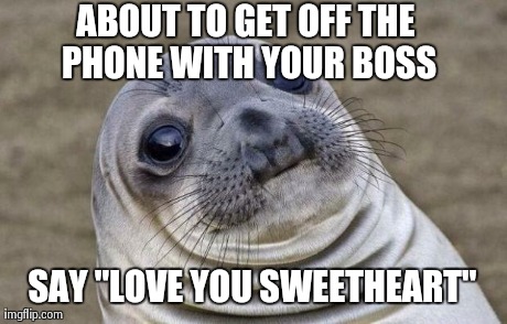 Awkward Moment Sealion Meme | ABOUT TO GET OFF THE PHONE WITH YOUR BOSS SAY "LOVE YOU SWEETHEART" | image tagged in memes,awkward moment sealion,AdviceAnimals | made w/ Imgflip meme maker