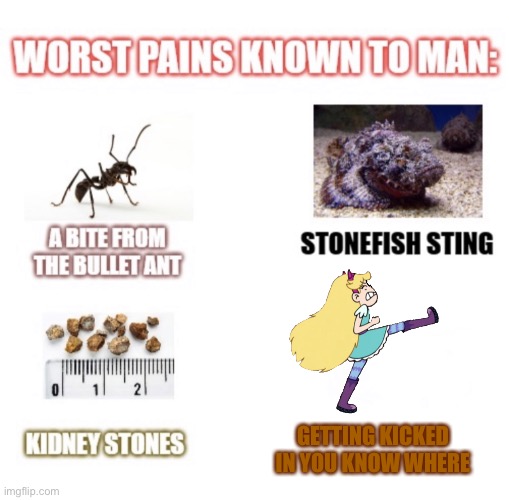 ahhh | GETTING KICKED IN YOU KNOW WHERE | image tagged in most painful things known to man | made w/ Imgflip meme maker