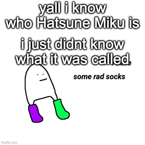 im not slow bruh | yall i know who Hatsune Miku is; i just didnt know what it was called | image tagged in rad socks but your life isnt falling apart | made w/ Imgflip meme maker