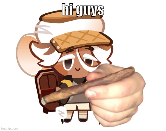 smore cookie with a blunt | hi guys | image tagged in smore cookie with a blunt | made w/ Imgflip meme maker