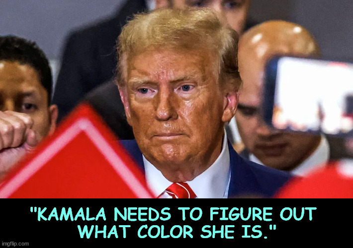 Some days Donnie faces the same question. | "KAMALA NEEDS TO FIGURE OUT 
WHAT COLOR SHE IS." | image tagged in kamala harris,trump,racist,smear | made w/ Imgflip meme maker