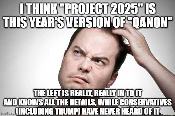 confused | I THINK "PROJECT 2025" IS THIS YEAR'S VERSION OF "QANON" THE LEFT IS REALLY, REALLY IN TO IT AND KNOWS ALL THE DETAILS, WHILE CONSERVATIVES  | image tagged in confused | made w/ Imgflip meme maker