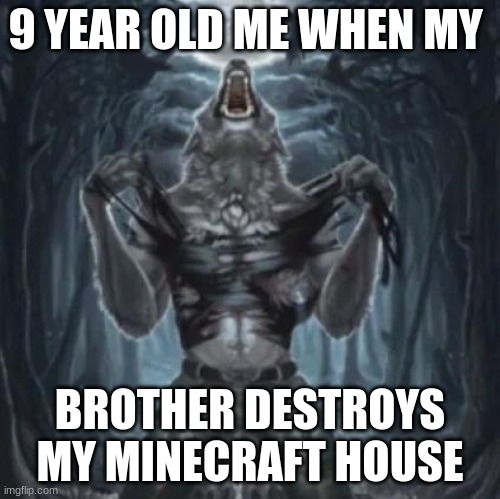 I have to teach him a lesson | 9 YEAR OLD ME WHEN MY; BROTHER DESTROYS MY MINECRAFT HOUSE | image tagged in alpha,alpha wolf | made w/ Imgflip meme maker