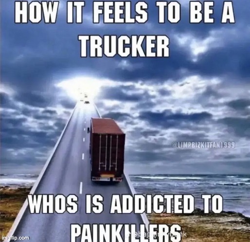 REPOSTS ARE ALLOWEd | image tagged in memes,funny,dark,truckers,owu | made w/ Imgflip meme maker