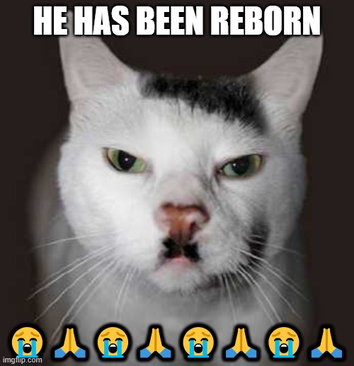 nein | HE HAS BEEN REBORN; 😭🙏😭🙏😭🙏😭🙏 | image tagged in nazi cat | made w/ Imgflip meme maker