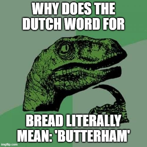 Philosoraptor | WHY DOES THE DUTCH WORD FOR; BREAD LITERALLY MEAN: 'BUTTERHAM' | image tagged in memes,philosoraptor | made w/ Imgflip meme maker