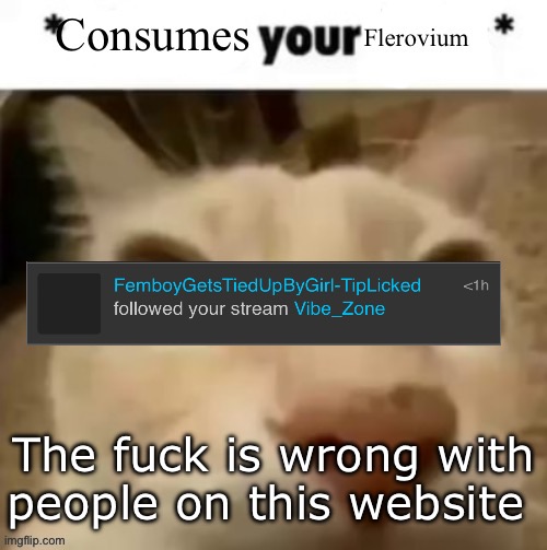 Yakko consumes your flerovium | The fuck is wrong with people on this website | image tagged in yakko consumes your flerovium | made w/ Imgflip meme maker